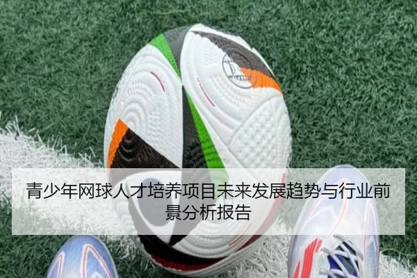青少年网球人才培养项目未来发展趋势与行业前景分析报告