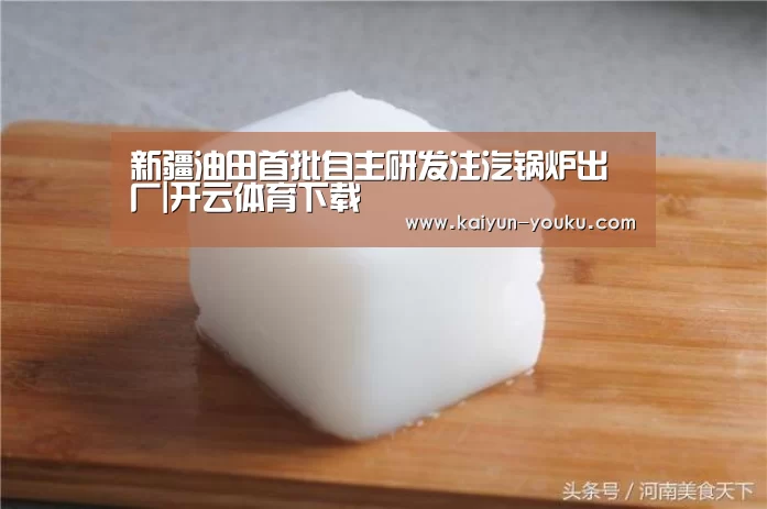 新疆油田首批自主研发注汽锅炉出厂|开云体